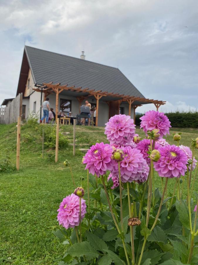 Apartmany U Mateje Dolní Morava 外观 照片