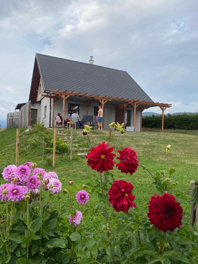Apartmany U Mateje Dolní Morava 外观 照片