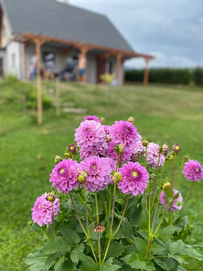 Apartmany U Mateje Dolní Morava 外观 照片