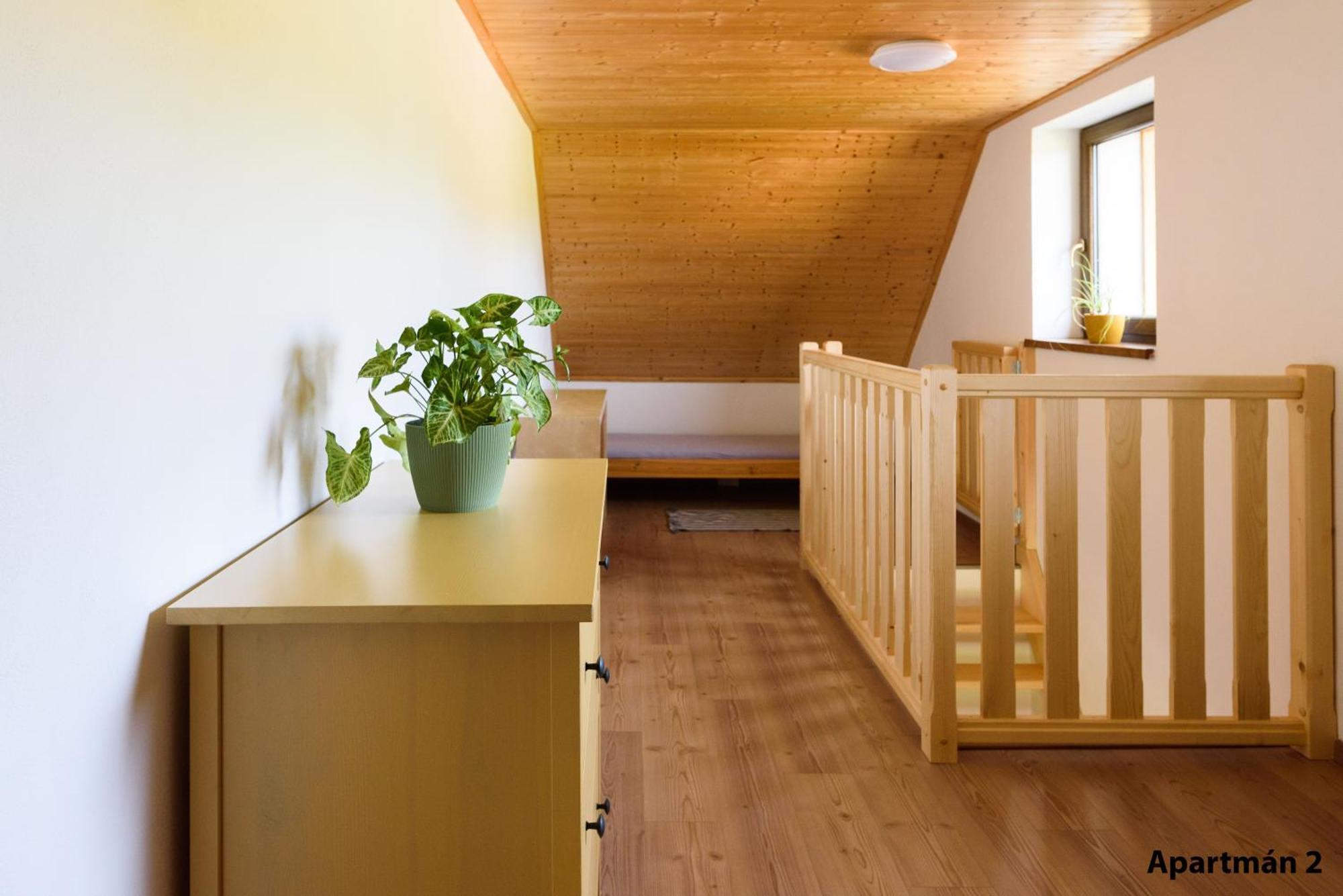 Apartmany U Mateje Dolní Morava 外观 照片